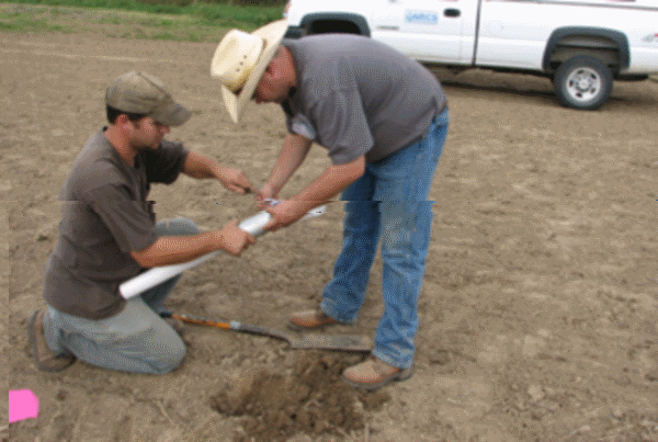 Key Attributes Biological Technicians Need To Succeed In Their Career