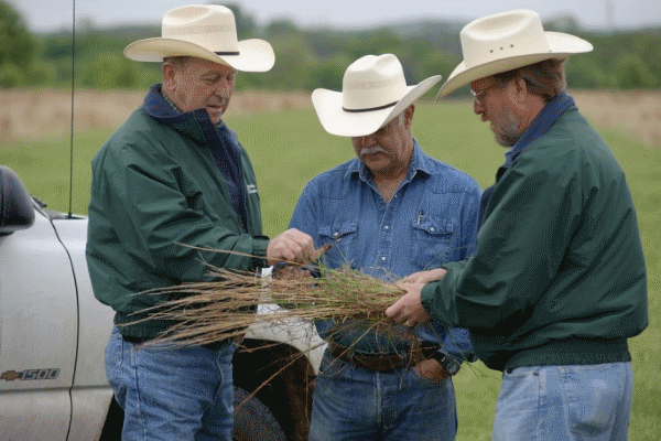 26 Key Attributes Farm And Home Management Advisors Need To Succeed In Their Career