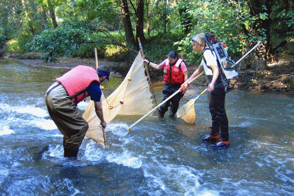 6 Key Attributes Hydrologists Need To Succeed In Their Career